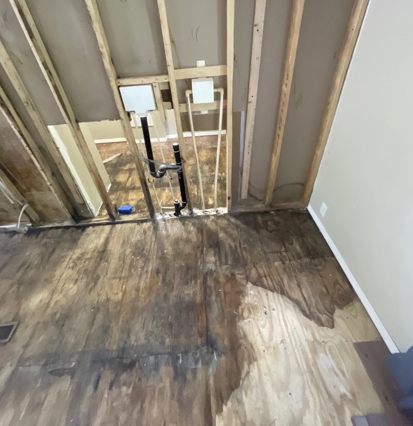 Exposed subfloor and wall studs after water damage extraction in Ozark