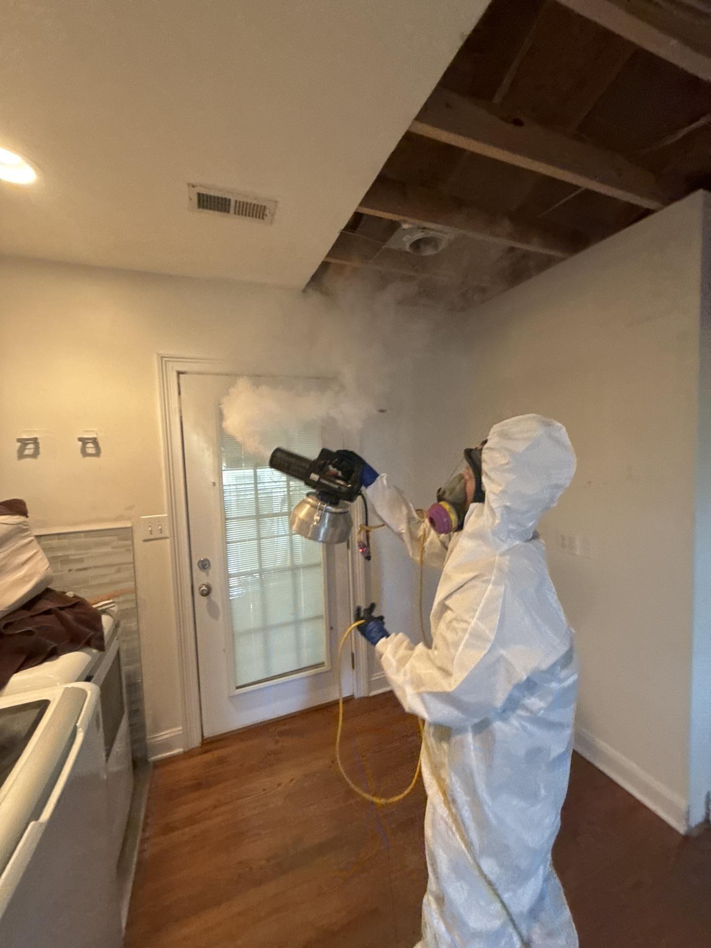 IRS technician fogging an area for mold remediation in Ozark