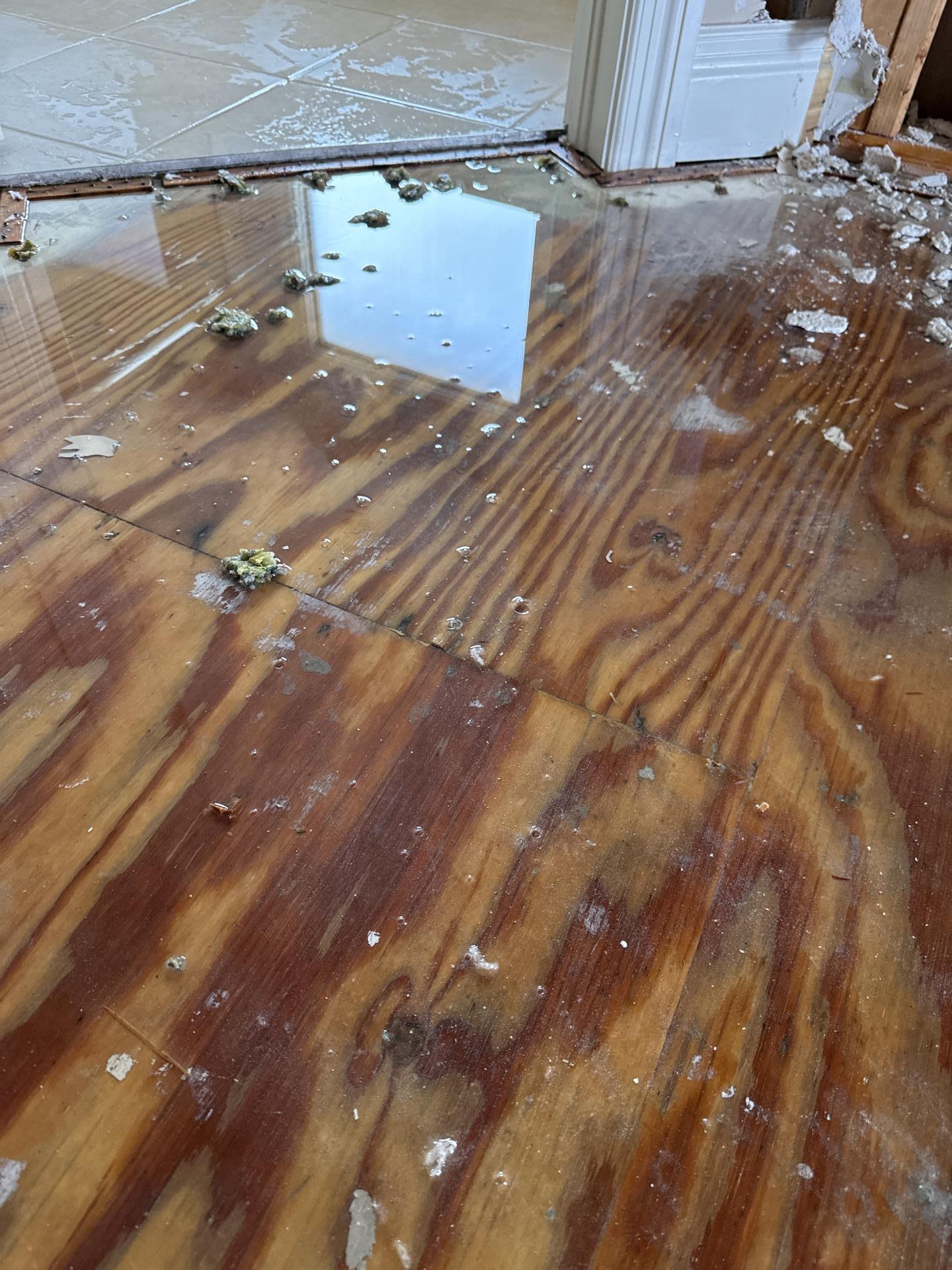 Standing water and damage on wood subfloor from storm intrusion in Ozark