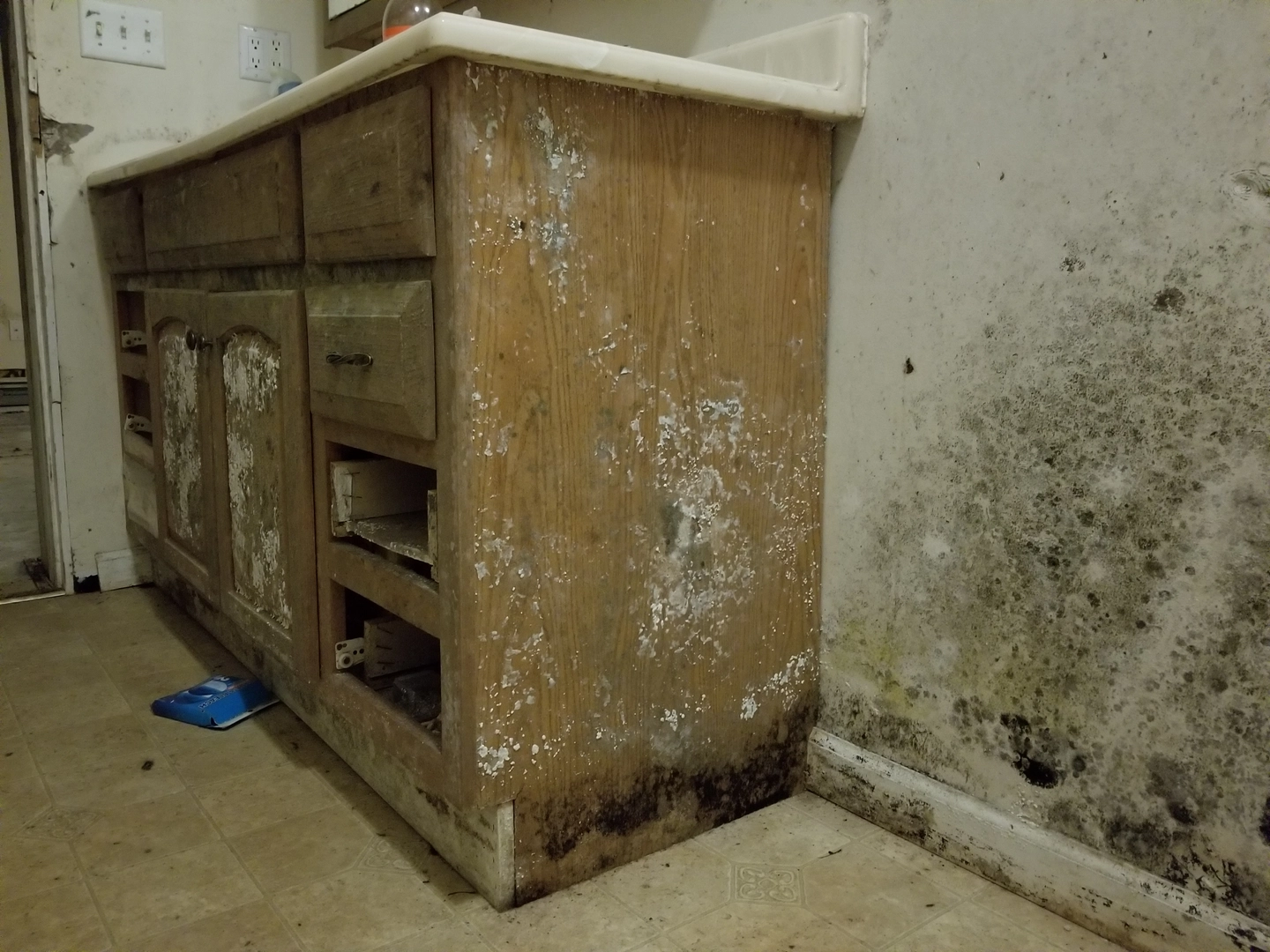 Extensive mold growth on kitchen cabinet and wall in a Ozark home